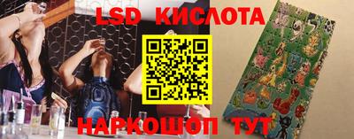 крисы Малгобек