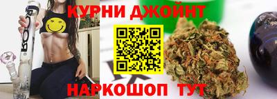 крисы Малгобек