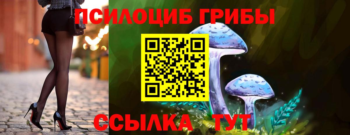 Шали  Галлюциногенные грибы Psilocybine cubensis  Вход с VPN  цены   Псилоцибиновые грибы мицелий 
